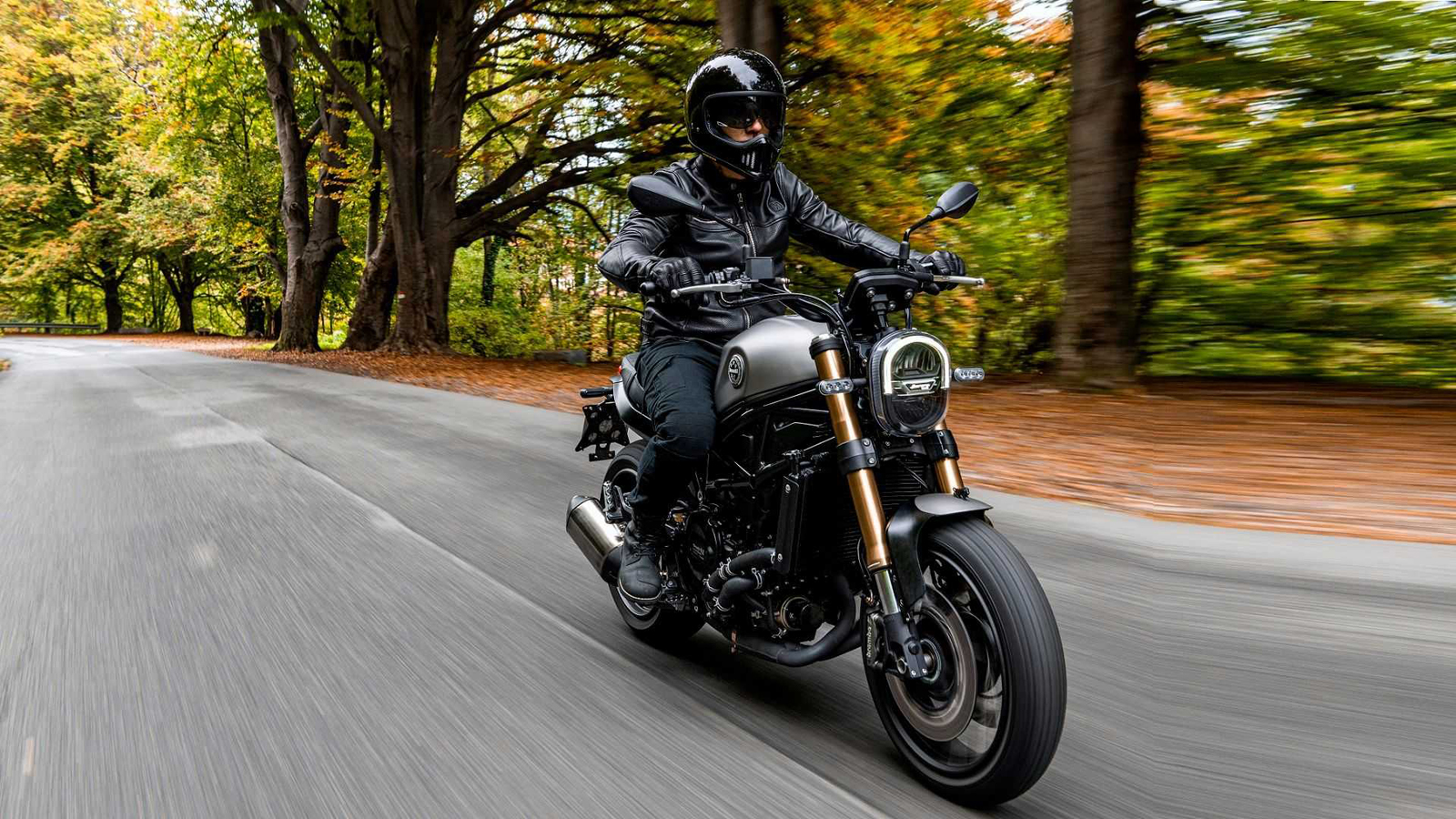 Benelli Leoncino 800